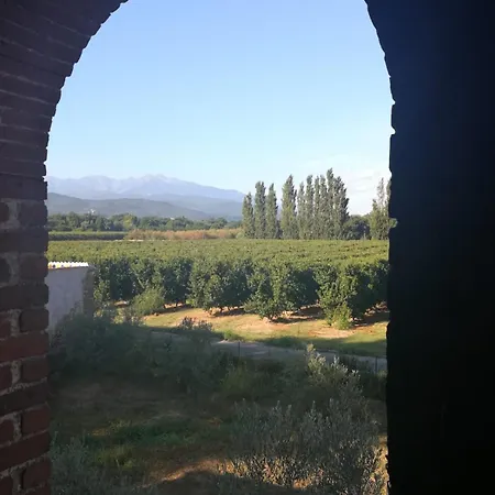 Du Mas Selva Avec Piscine Privée