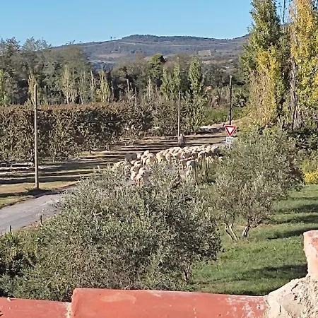 Du Mas Selva Avec Piscine Privée Casa vacanze