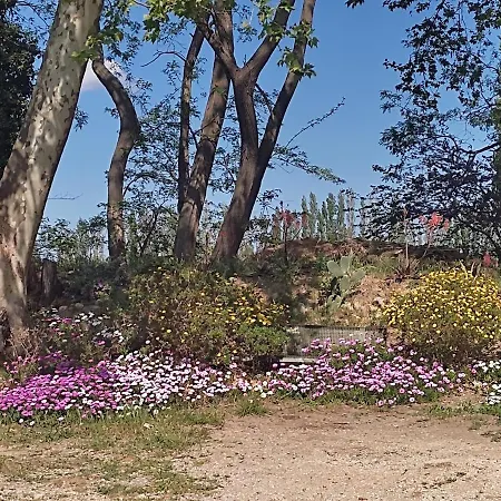 Du Mas Selva Avec Piscine Privée Casa vacanze Millas
