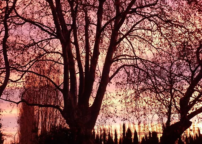 Du Mas Selva Avec Piscine Privee * Millas